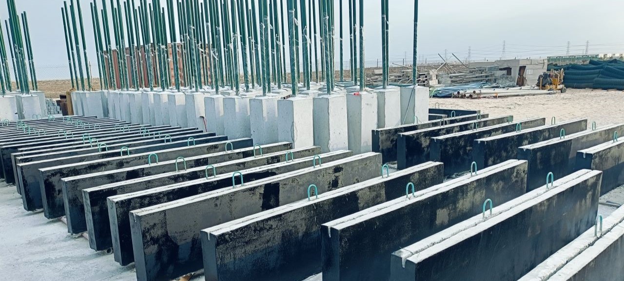 WhatsApp Image 2024-11-12 at 17.41.46_8e4e50da